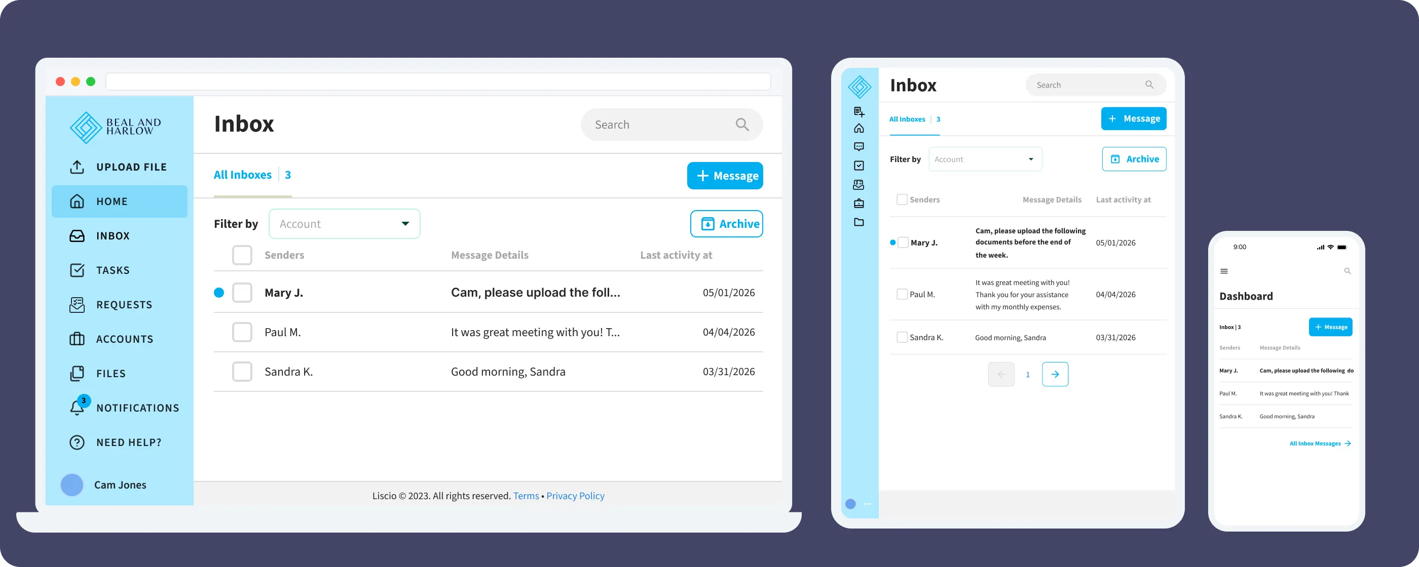 Custom branded Liscio client portal — firm 2